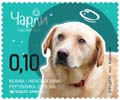 Bosnia new post stamp Dogs