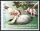 Albanian Fauna - Bombyx mori
