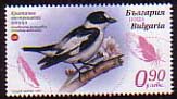 Фауна - Критично застрашени птици в България