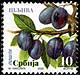 Definitives - plum
