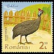 Romania new post stamp Yard birds